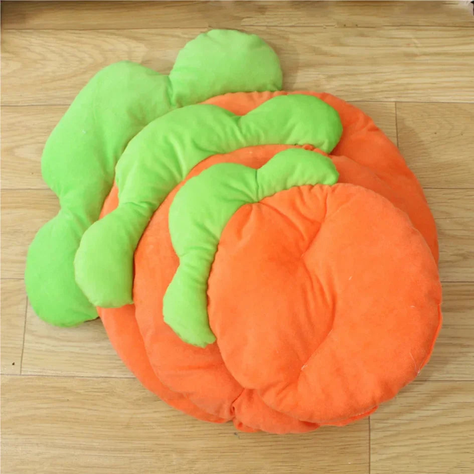 Cozy Carrot Pet Bed