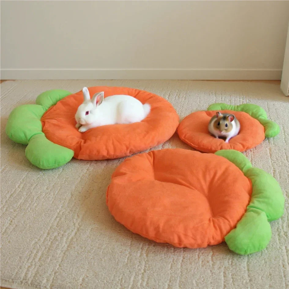 Cozy Carrot Pet Bed