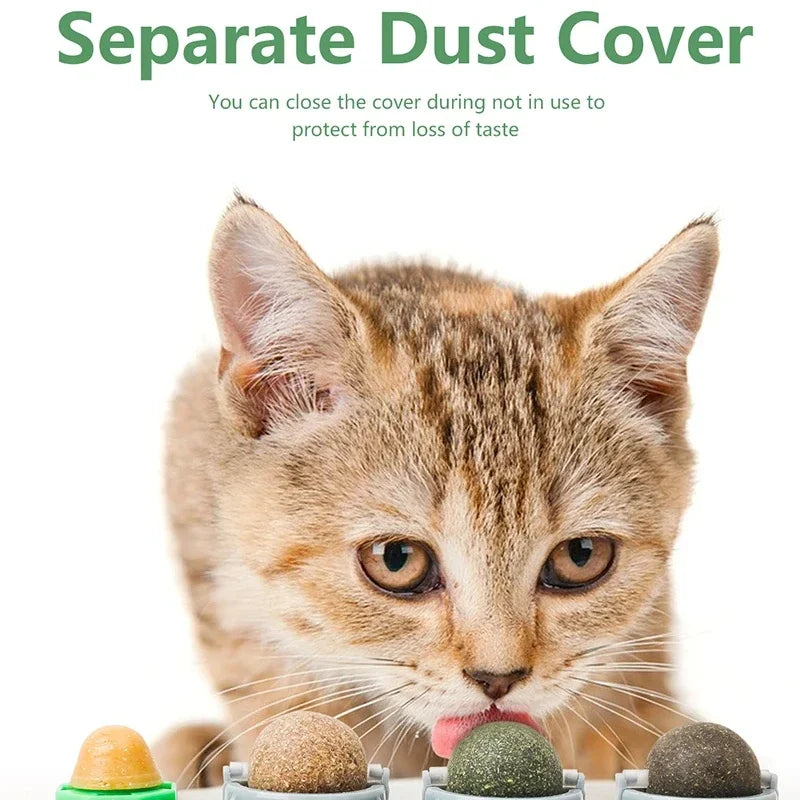 Catnip Rotating Fun Ball
