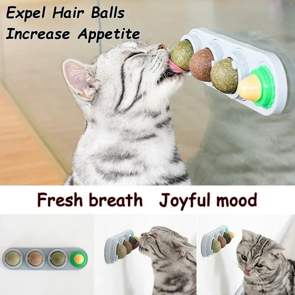 Catnip Rotating Fun Ball