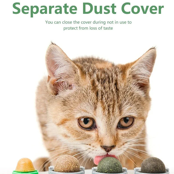 4-in-1-Rotating-Catnip-Silver-Vine-Ball-Teeth-Cleaning-Acne-Prevention-Digestive-Health-Wall-Stick.jpg