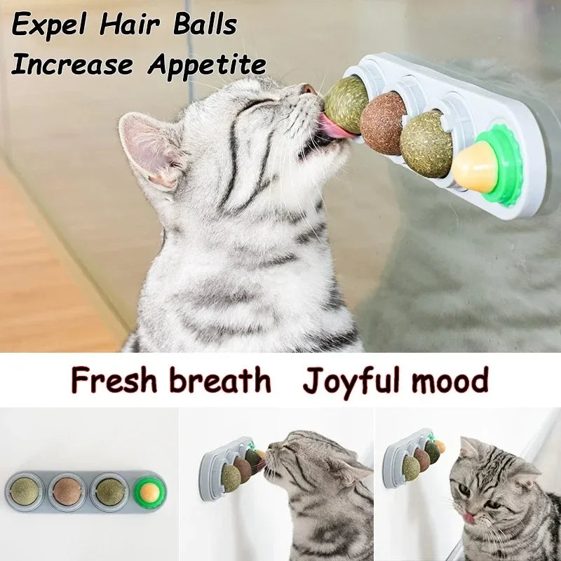 Catnip Rotating Fun Ball