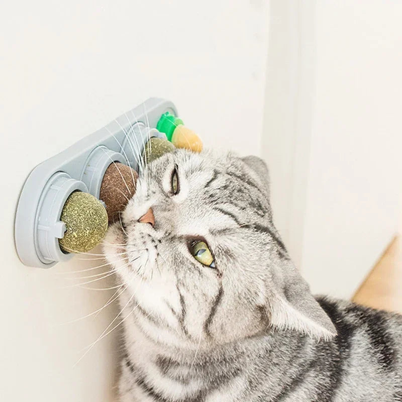 Catnip Rotating Fun Ball