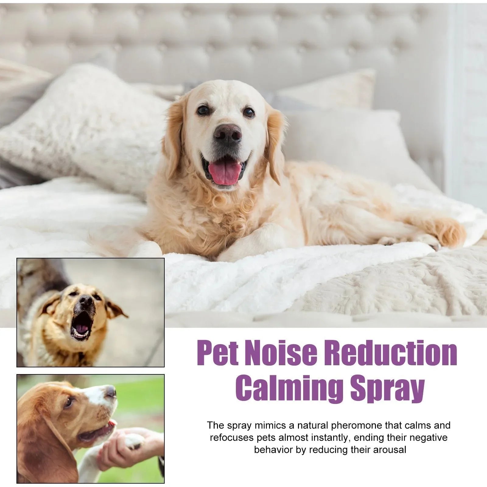 Calm Paws Soothing Spray