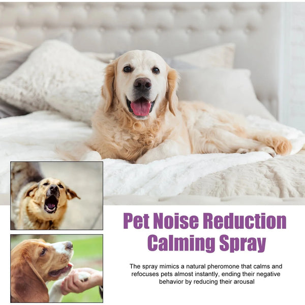 Calm Paws Soothing Spray