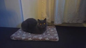 Aa6d79f5a2b6d4bb1bed4dfadbb034da5j.jpg
