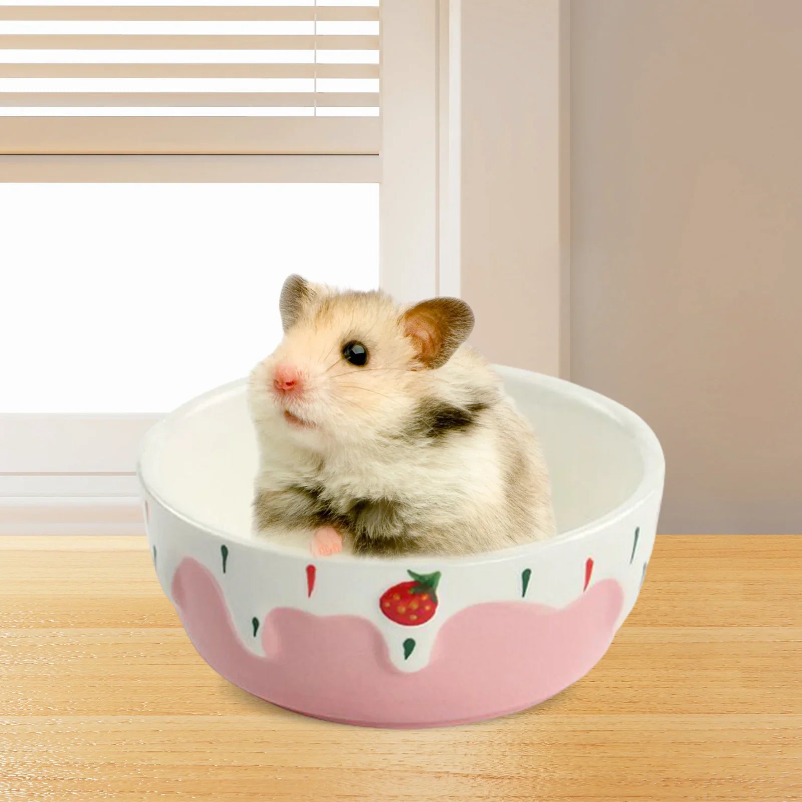 Easy Clean Ceramic Pet Dish