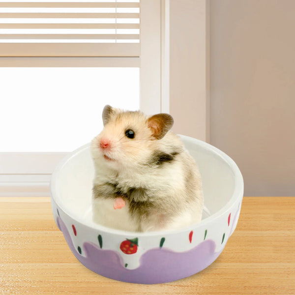 Easy Clean Ceramic Pet Dish